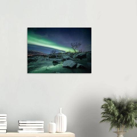 13851f28-7034-4532-a9a6-dab83c2c98b5