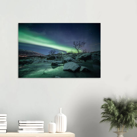 309222d3-c5b6-4582-97d2-351ee8c5a457