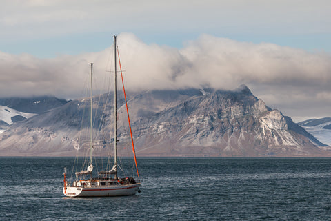 Ticket | Die Arktis – Ein Bildervortrag mit 3-Gänge-Menü | 6.3.26