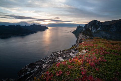 Ticket | Norwegens Fjorde – Multimedia-Präsentation mit 3-Gänge-Menü | 21.3.26