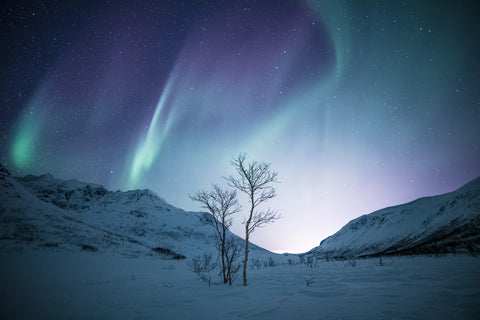 Ticket | Nordlichter – Multimedia-Präsentation mit 3-Gänge-Menü | 25.9.26 | Münster