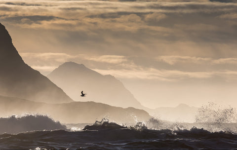 Landschaftsfotograf mit geologischem Blick