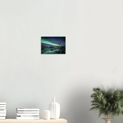 a4afb525-a98a-4a94-bb6c-35f7c140a275