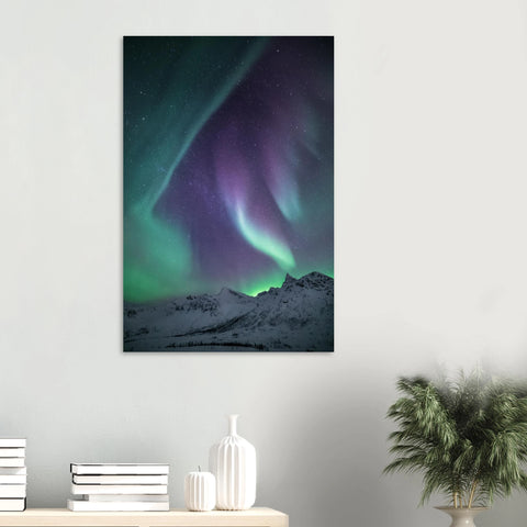 a8cc86bd-77ee-4ef6-872b-fae2be013686