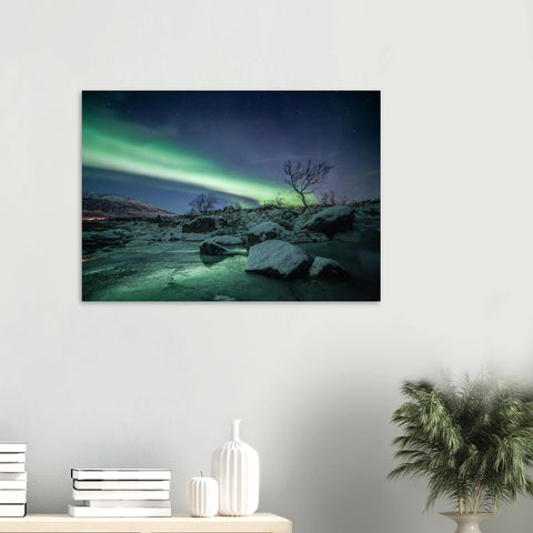 bb86f74c-b27e-42f3-b55d-9002cc491be0