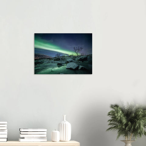 c7b01d45-af1e-4e2c-b730-251508ccc52b