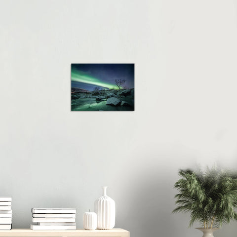 f747f8a4-bac9-4804-a75d-773cd8d89005